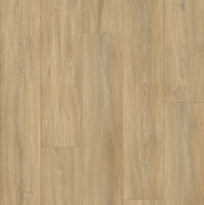 6.5mm | AP6502 Suva